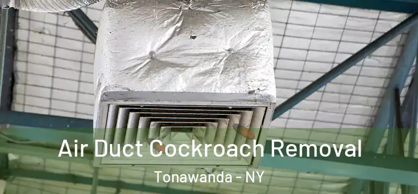 Air Duct Cockroach Removal Tonawanda - NY
