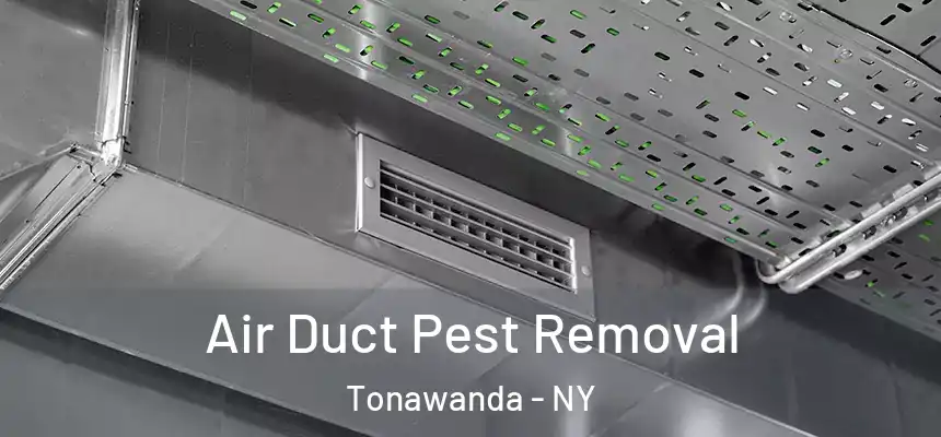Air Duct Pest Removal Tonawanda - NY