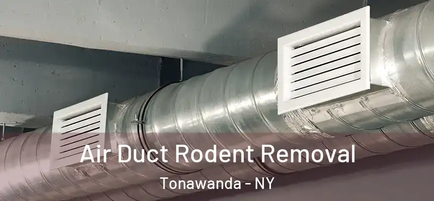 Air Duct Rodent Removal Tonawanda - NY