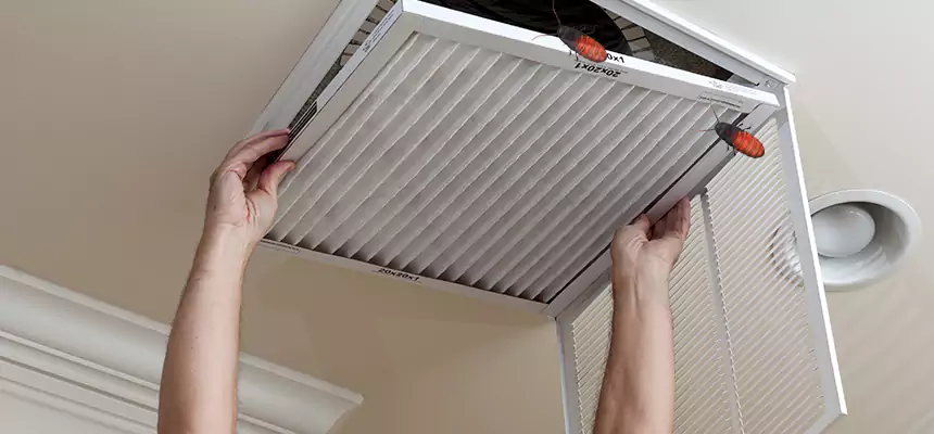 Preventive Cockroach-Proofing for Ducts in Tonawanda