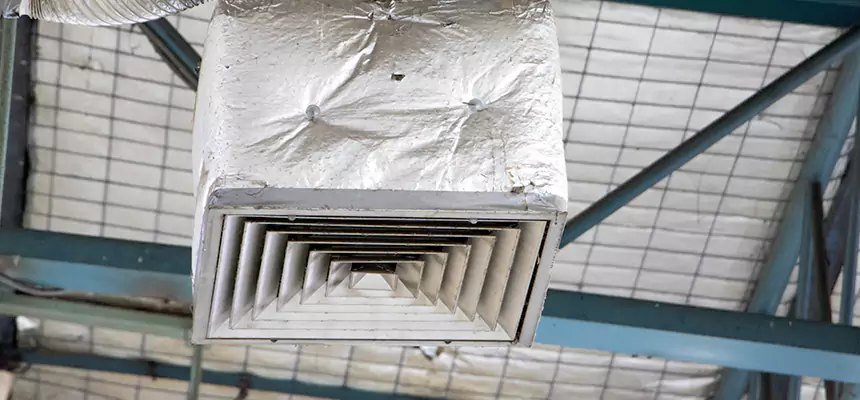 Our HVAC Mold Remediation Service Services in Tonawanda, NY