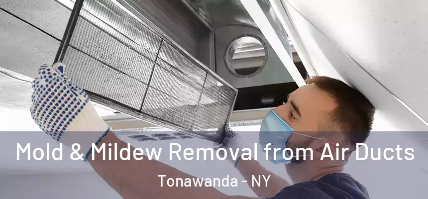 Mold & Mildew Removal from Air Ducts Tonawanda - NY