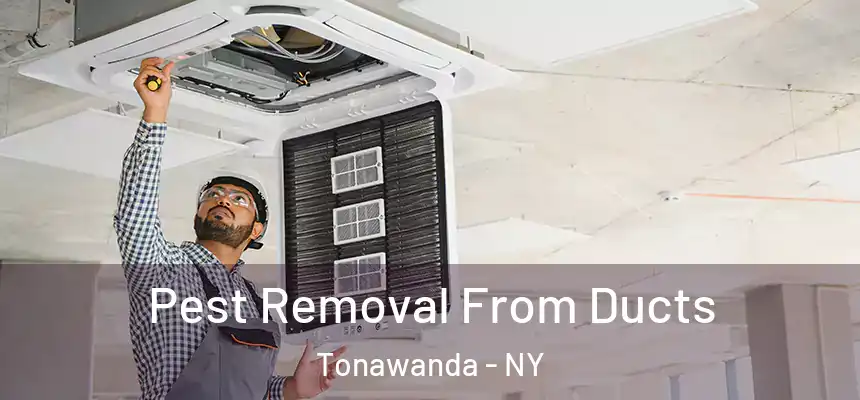 Pest Removal From Ducts Tonawanda - NY