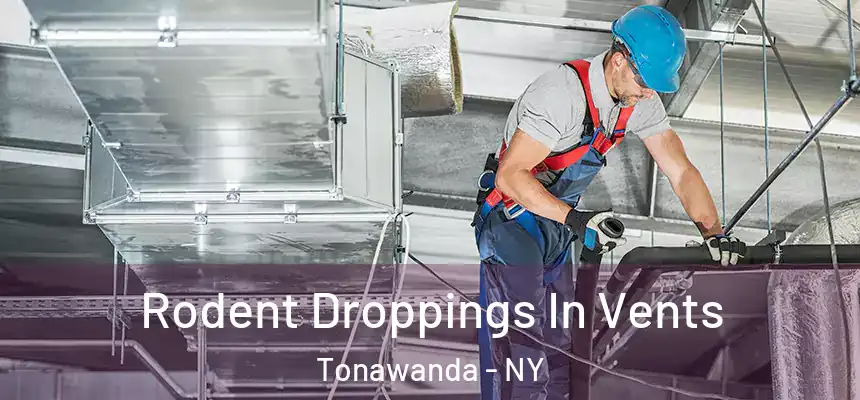 Rodent Droppings In Vents Tonawanda - NY