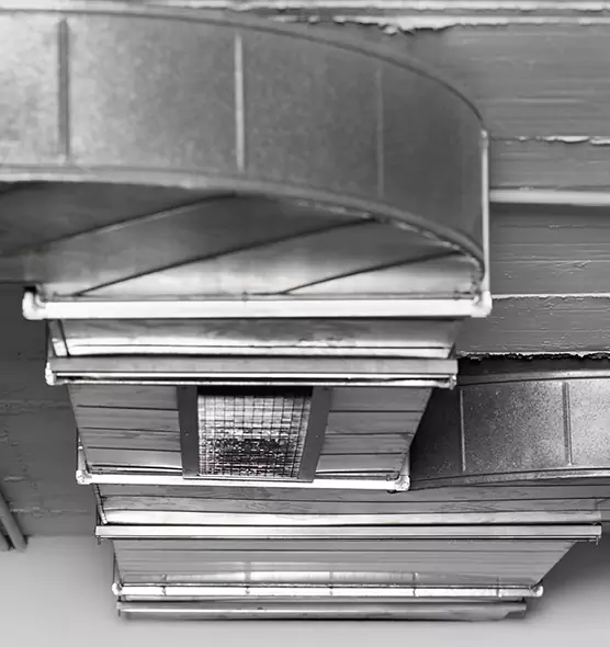 Professional Air Duct Pest Removal in Tonawanda, NY