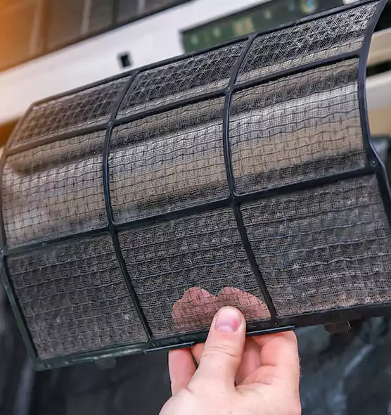 About Pet Dander Duct Cleaning in Tonawanda, NY